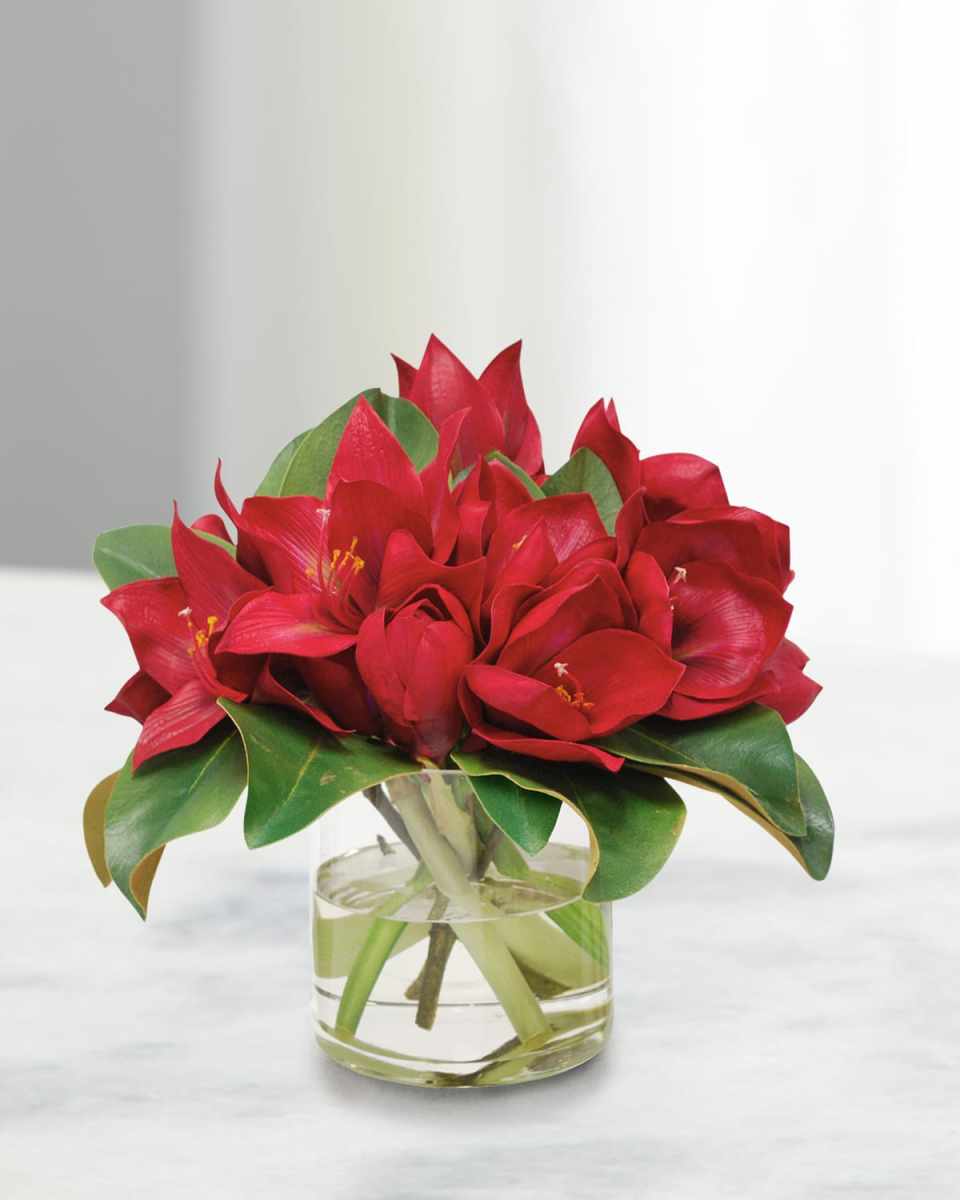 Amaryllis In Round Vase